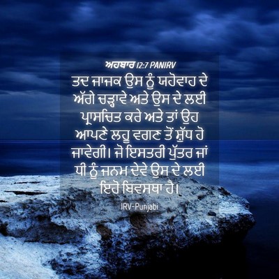 Picture 04 - ਅਹਬਾਰ 12:7 PANIRV - ਤਦ ਜਾਜਕ ਉਸ ਨੂੰ - Bible Verse Picture