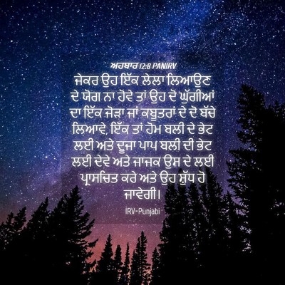 Picture 04 - ਅਹਬਾਰ 12:8 PANIRV - ਜੇਕਰ ਉਹ ਇੱਕ ਲੇਲਾ - Bible Verse Picture