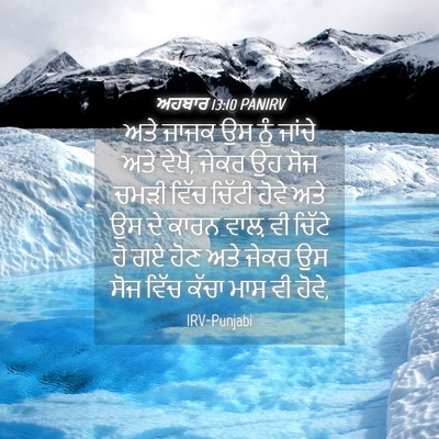 Picture 04 - ਅਹਬਾਰ 13:10 PANIRV - ਅਤੇ ਜਾਜਕ ਉਸ ਨੂੰ - Bible Verse Picture