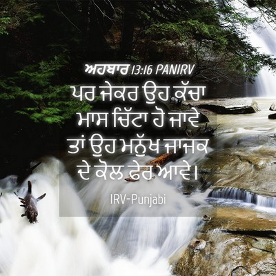 Picture 04 - ਅਹਬਾਰ 13:16 PANIRV - ਪਰ ਜੇਕਰ ਉਹ ਕੱਚਾ ਮਾਸ - Bible Verse Picture