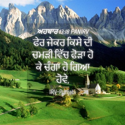 Picture 04 - ਅਹਬਾਰ 13:18 PANIRV - ਫੇਰ ਜੇਕਰ ਕਿਸੇ ਦੀ - Bible Verse Picture