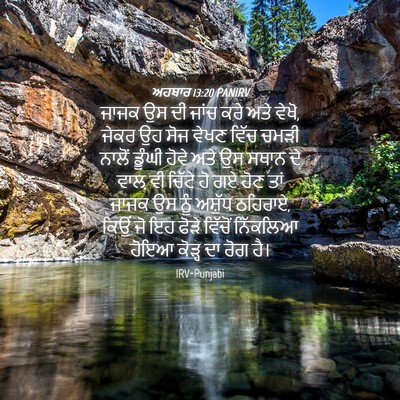 Picture 04 - ਅਹਬਾਰ 13:20 PANIRV - ਜਾਜਕ ਉਸ ਦੀ ਜਾਂਚ ਕਰੇ - Bible Verse Picture