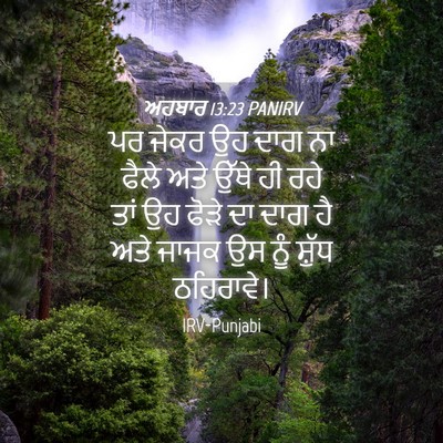 Picture 04 - ਅਹਬਾਰ 13:23 PANIRV - ਪਰ ਜੇਕਰ ਉਹ ਦਾਗ ਨਾ - Bible Verse Picture