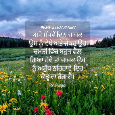 Picture 04 - ਅਹਬਾਰ 13:27 PANIRV - ਅਤੇ ਸੱਤਵੇਂ ਦਿਨ - Bible Verse Picture