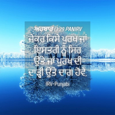 Picture 04 - ਅਹਬਾਰ 13:29 PANIRV - ਜੇਕਰ ਕਿਸੇ ਪੁਰਖ ਜਾਂ - Bible Verse Picture