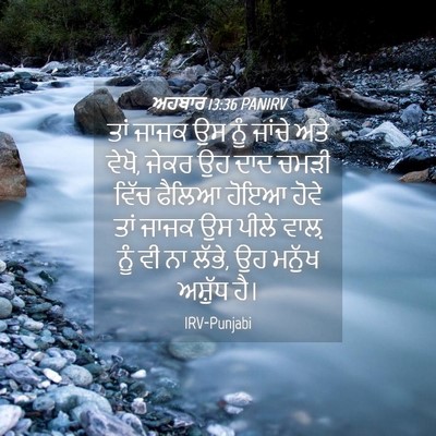 Picture 04 - ਅਹਬਾਰ 13:36 PANIRV - ਤਾਂ ਜਾਜਕ ਉਸ ਨੂੰ - Bible Verse Picture