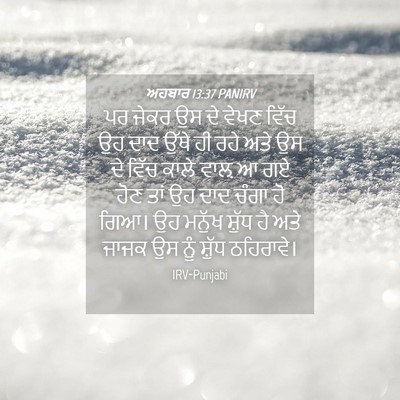 Picture 04 - ਅਹਬਾਰ 13:37 PANIRV - ਪਰ ਜੇਕਰ ਉਸ ਦੇ ਵੇਖਣ - Bible Verse Picture