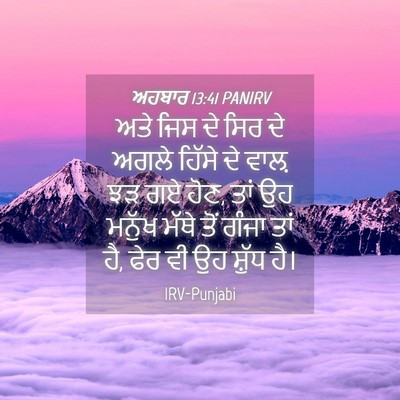 Picture 04 - ਅਹਬਾਰ 13:41 PANIRV - ਅਤੇ ਜਿਸ ਦੇ ਸਿਰ ਦੇ - Bible Verse Picture