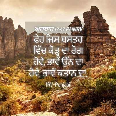 Picture 04 - ਅਹਬਾਰ 13:47 PANIRV - ਫੇਰ ਜਿਸ ਬਸਤਰ ਵਿੱਚ - Bible Verse Picture