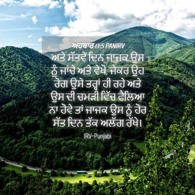 Picture 04 - ਅਹਬਾਰ 13:5 PANIRV - ਅਤੇ ਸੱਤਵੇਂ ਦਿਨ - Bible Verse Picture
