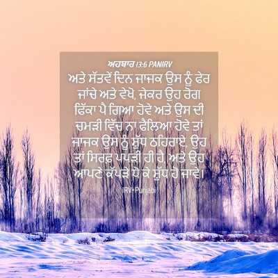 Picture 04 - ਅਹਬਾਰ 13:6 PANIRV - ਅਤੇ ਸੱਤਵੇਂ ਦਿਨ - Bible Verse Picture