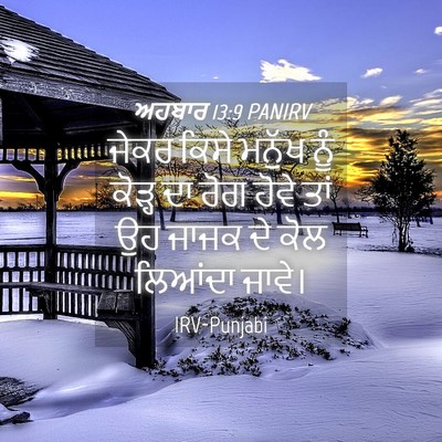 Picture 04 - ਅਹਬਾਰ 13:9 PANIRV - ਜੇਕਰ ਕਿਸੇ ਮਨੁੱਖ - Bible Verse Picture