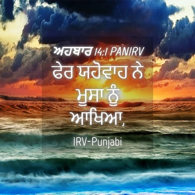 Picture 04 - ਅਹਬਾਰ 14:1 PANIRV - ਫੇਰ ਯਹੋਵਾਹ ਨੇ ਮੂਸਾ - Bible Verse Picture