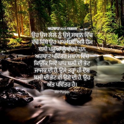 Picture 04 - ਅਹਬਾਰ 14:13 PANIRV - ਉਹ ਉਸ ਲੇਲੇ ਨੂੰ ਉਸੇ - Bible Verse Picture
