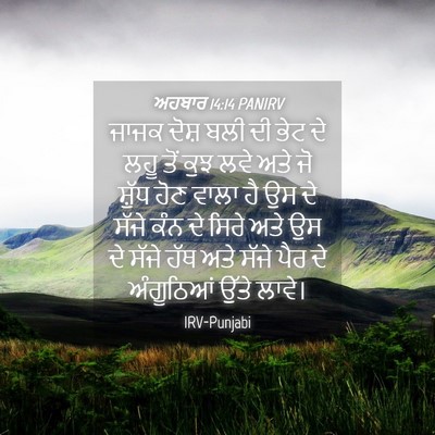 Picture 04 - ਅਹਬਾਰ 14:14 PANIRV - ਜਾਜਕ ਦੋਸ਼ ਬਲੀ ਦੀ - Bible Verse Picture
