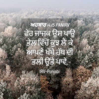 Picture 04 - ਅਹਬਾਰ 14:15 PANIRV - ਫੇਰ ਜਾਜਕ ਉਸ ਪਾਉ ਤੇਲ - Bible Verse Picture
