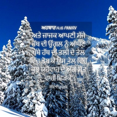 Picture 04 - ਅਹਬਾਰ 14:16 PANIRV - ਅਤੇ ਜਾਜਕ ਆਪਣੀ ਸੱਜੇ - Bible Verse Picture