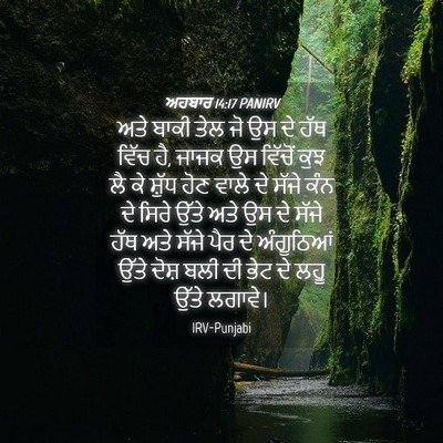 Picture 04 - ਅਹਬਾਰ 14:17 PANIRV - ਅਤੇ ਬਾਕੀ ਤੇਲ ਜੋ ਉਸ - Bible Verse Picture