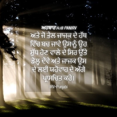 Picture 04 - ਅਹਬਾਰ 14:18 PANIRV - ਅਤੇ ਜੋ ਤੇਲ ਜਾਜਕ ਦੇ - Bible Verse Picture