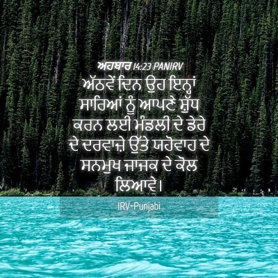 Picture 04 - ਅਹਬਾਰ 14:23 PANIRV - ਅੱਠਵੇਂ ਦਿਨ ਉਹ - Bible Verse Picture