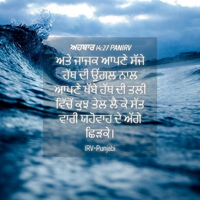 Picture 04 - ਅਹਬਾਰ 14:27 PANIRV - ਅਤੇ ਜਾਜਕ ਆਪਣੇ ਸੱਜੇ - Bible Verse Picture