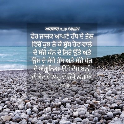 Picture 04 - ਅਹਬਾਰ 14:28 PANIRV - ਫੇਰ ਜਾਜਕ ਆਪਣੇ ਹੱਥ - Bible Verse Picture