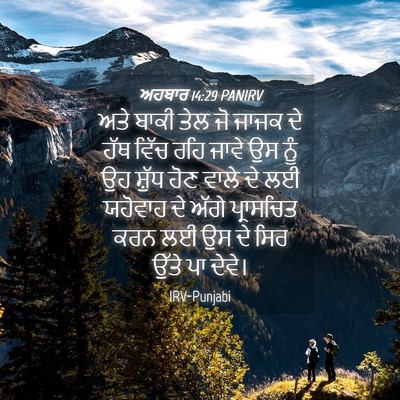 Picture 04 - ਅਹਬਾਰ 14:29 PANIRV - ਅਤੇ ਬਾਕੀ ਤੇਲ ਜੋ - Bible Verse Picture