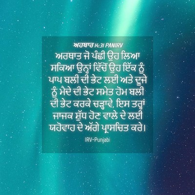 Picture 04 - ਅਹਬਾਰ 14:31 PANIRV - ਅਰਥਾਤ ਜੋ ਪੰਛੀ ਉਹ - Bible Verse Picture