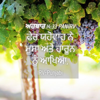 Picture 04 - ਅਹਬਾਰ 14:33 PANIRV - ਫੇਰ ਯਹੋਵਾਹ ਨੇ ਮੂਸਾ - Bible Verse Picture
