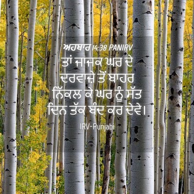 Picture 04 - ਅਹਬਾਰ 14:38 PANIRV - ਤਾਂ ਜਾਜਕ ਘਰ ਦੇ - Bible Verse Picture