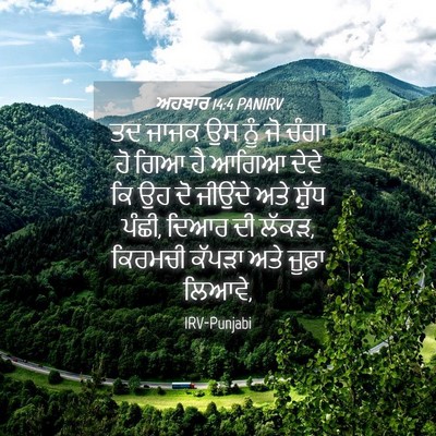 Picture 04 - ਅਹਬਾਰ 14:4 PANIRV - ਤਦ ਜਾਜਕ ਉਸ ਨੂੰ ਜੋ - Bible Verse Picture