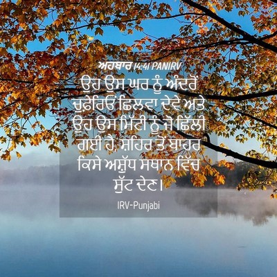 Picture 04 - ਅਹਬਾਰ 14:41 PANIRV - ਉਹ ਉਸ ਘਰ ਨੂੰ ਅੰਦਰੋਂ - Bible Verse Picture