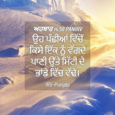 Picture 04 - ਅਹਬਾਰ 14:50 PANIRV - ਉਹ ਪੰਛੀਆਂ ਵਿੱਚੋਂ - Bible Verse Picture
