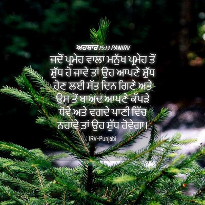 Picture 04 - ਅਹਬਾਰ 15:13 PANIRV - ਜਦੋਂ ਪ੍ਰਮੇਹ ਵਾਲਾ - Bible Verse Picture