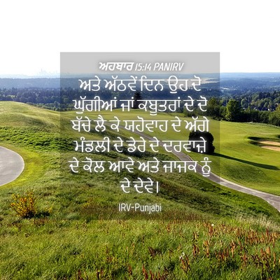 Picture 04 - ਅਹਬਾਰ 15:14 PANIRV - ਅਤੇ ਅੱਠਵੇਂ ਦਿਨ ਉਹ - Bible Verse Picture
