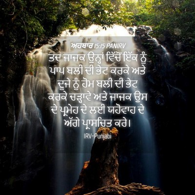 Picture 04 - ਅਹਬਾਰ 15:15 PANIRV - ਤਦ ਜਾਜਕ ਉਨ੍ਹਾਂ - Bible Verse Picture