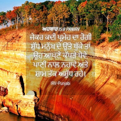 Picture 04 - ਅਹਬਾਰ 15:8 PANIRV - ਜੇਕਰ ਕਦੀ ਪ੍ਰਮੇਹ ਦਾ - Bible Verse Picture