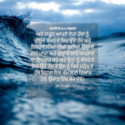 Picture 04 - ਅਹਬਾਰ 16:21 PANIRV - ਅਤੇ ਹਾਰੂਨ ਆਪਣੇ - Bible Verse Picture