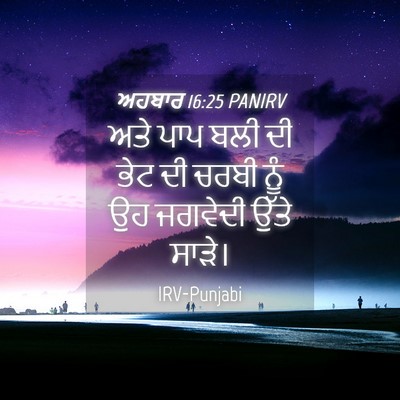 Picture 04 - ਅਹਬਾਰ 16:25 PANIRV - ਅਤੇ ਪਾਪ ਬਲੀ ਦੀ ਭੇਟ - Bible Verse Picture