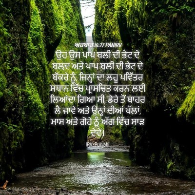 Picture 04 - ਅਹਬਾਰ 16:27 PANIRV - ਉਹ ਉਸ ਪਾਪ ਬਲੀ ਦੀ - Bible Verse Picture