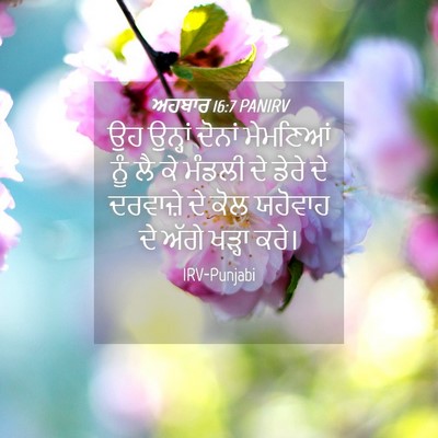 Picture 04 - ਅਹਬਾਰ 16:7 PANIRV - ਉਹ ਉਨ੍ਹਾਂ ਦੋਨਾਂ - Bible Verse Picture
