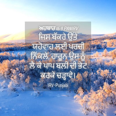 Picture 04 - ਅਹਬਾਰ 16:9 PANIRV - ਜਿਸ ਬੱਕਰੇ ਉੱਤੇ - Bible Verse Picture
