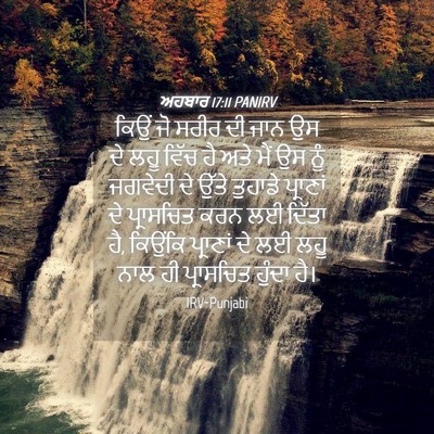 Picture 04 - ਅਹਬਾਰ 17:11 PANIRV - ਕਿਉਂ ਜੋ ਸਰੀਰ ਦੀ ਜਾਨ - Bible Verse Picture