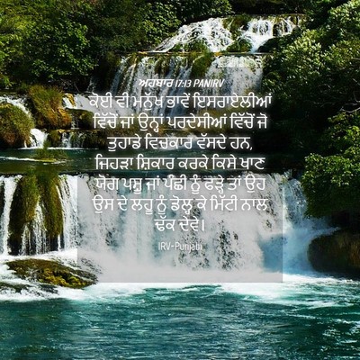 Picture 04 - ਅਹਬਾਰ 17:13 PANIRV - ਕੋਈ ਵੀ ਮਨੁੱਖ ਭਾਵੇਂ - Bible Verse Picture