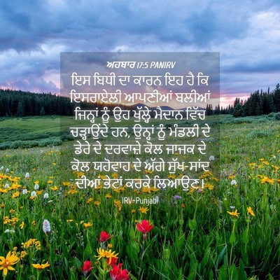 Picture 04 - ਅਹਬਾਰ 17:5 PANIRV - ਇਸ ਬਿਧੀ ਦਾ ਕਾਰਨ ਇਹ - Bible Verse Picture