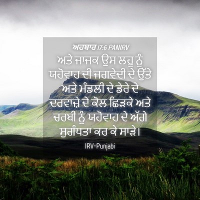 Picture 04 - ਅਹਬਾਰ 17:6 PANIRV - ਅਤੇ ਜਾਜਕ ਉਸ ਲਹੂ ਨੂੰ - Bible Verse Picture