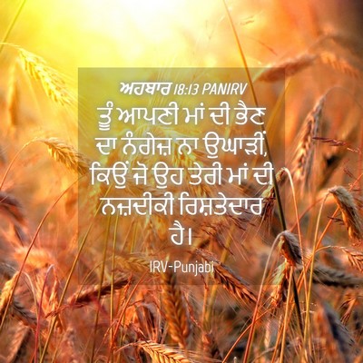 Picture 04 - ਅਹਬਾਰ 18:13 PANIRV - ਤੂੰ ਆਪਣੀ ਮਾਂ ਦੀ ਭੈਣ - Bible Verse Picture