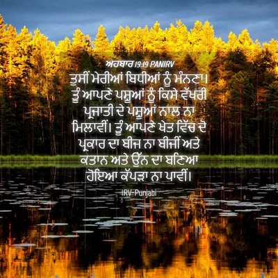 Picture 04 - ਅਹਬਾਰ 19:19 PANIRV - ਤੁਸੀਂ ਮੇਰੀਆਂ - Bible Verse Picture