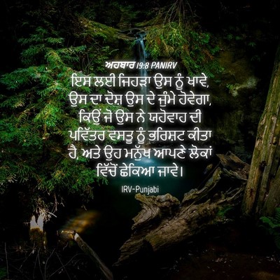 Picture 04 - ਅਹਬਾਰ 19:8 PANIRV - ਇਸ ਲਈ ਜਿਹੜਾ ਉਸ ਨੂੰ - Bible Verse Picture