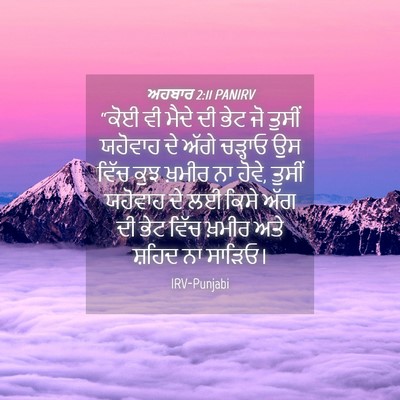 Picture 04 - ਅਹਬਾਰ 2:11 PANIRV - “ਕੋਈ ਵੀ ਮੈਦੇ ਦੀ ਭੇਟ - Bible Verse Picture